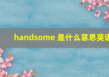 handsome 是什么意思英语